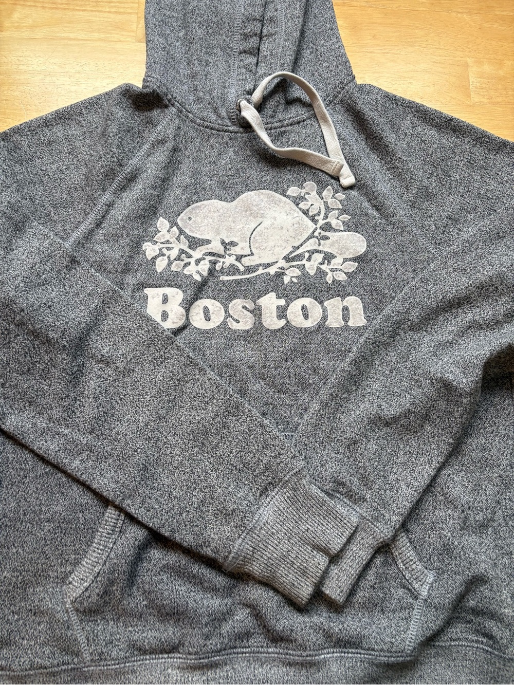 Roots Gray Boston Beaver Graphic Hooded Sweatshirt - Picture 1 of 2